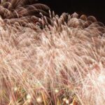 Thumbnail of post image 058