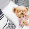 Thumbnail of related posts 029